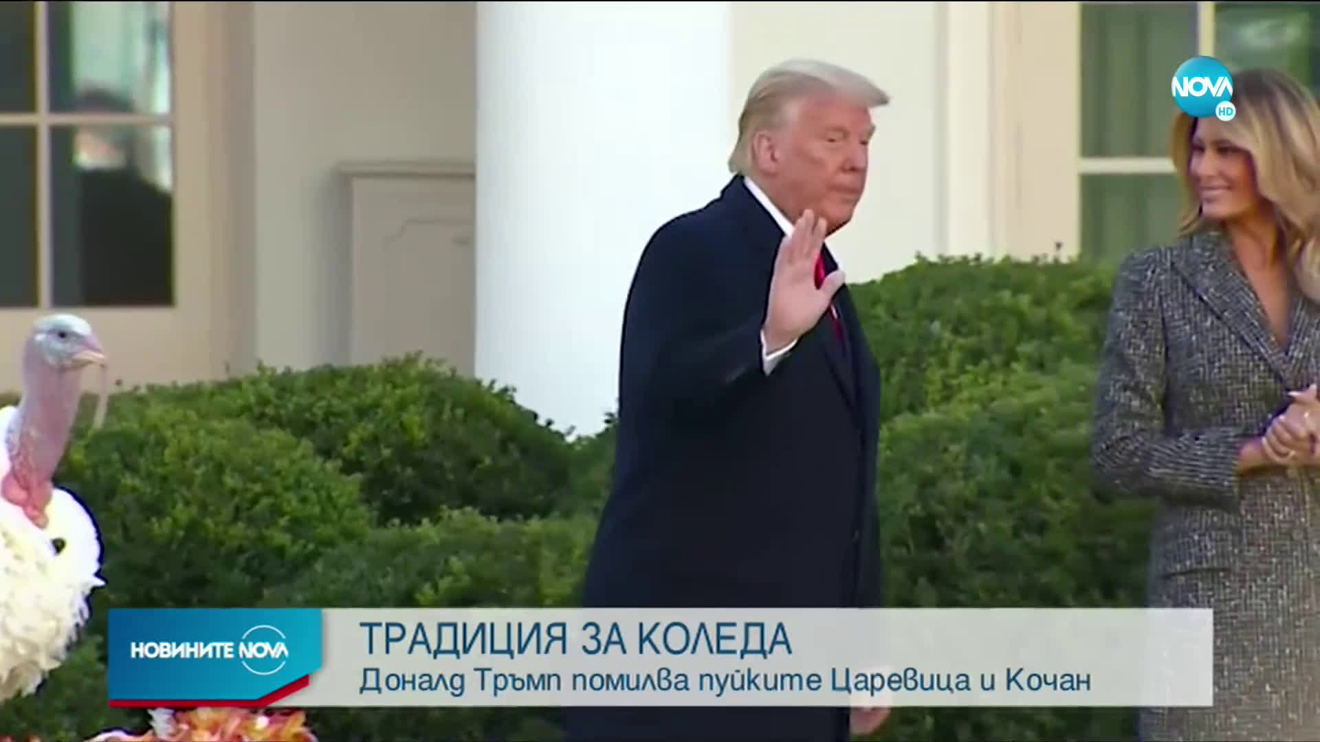 Доналд Тръмп помилва пуйките Царевица и Кочан