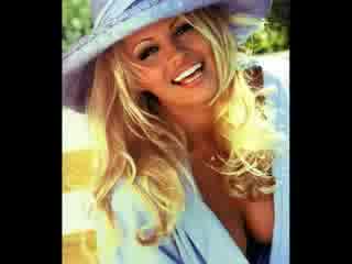 Pamela Anderson v Playboy