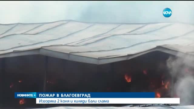 Пожар в стопански двор в Благоевград