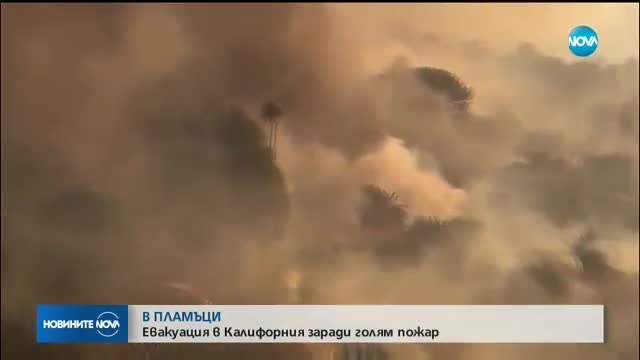 В ПЛАМЪЦИ: Евакуация в Калифорния заради голям пожар
