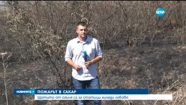 Щетите от пожара в Сакар планина са за стотици хиляди