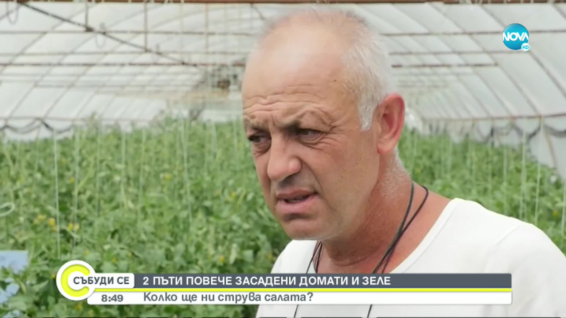 Отчита се поевтиняане на зеленчуците с появата на първите количества родно производство