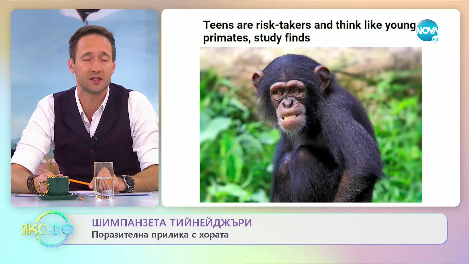 Тийнейджърите и младите шимпанзета имат сходно рисково поведение