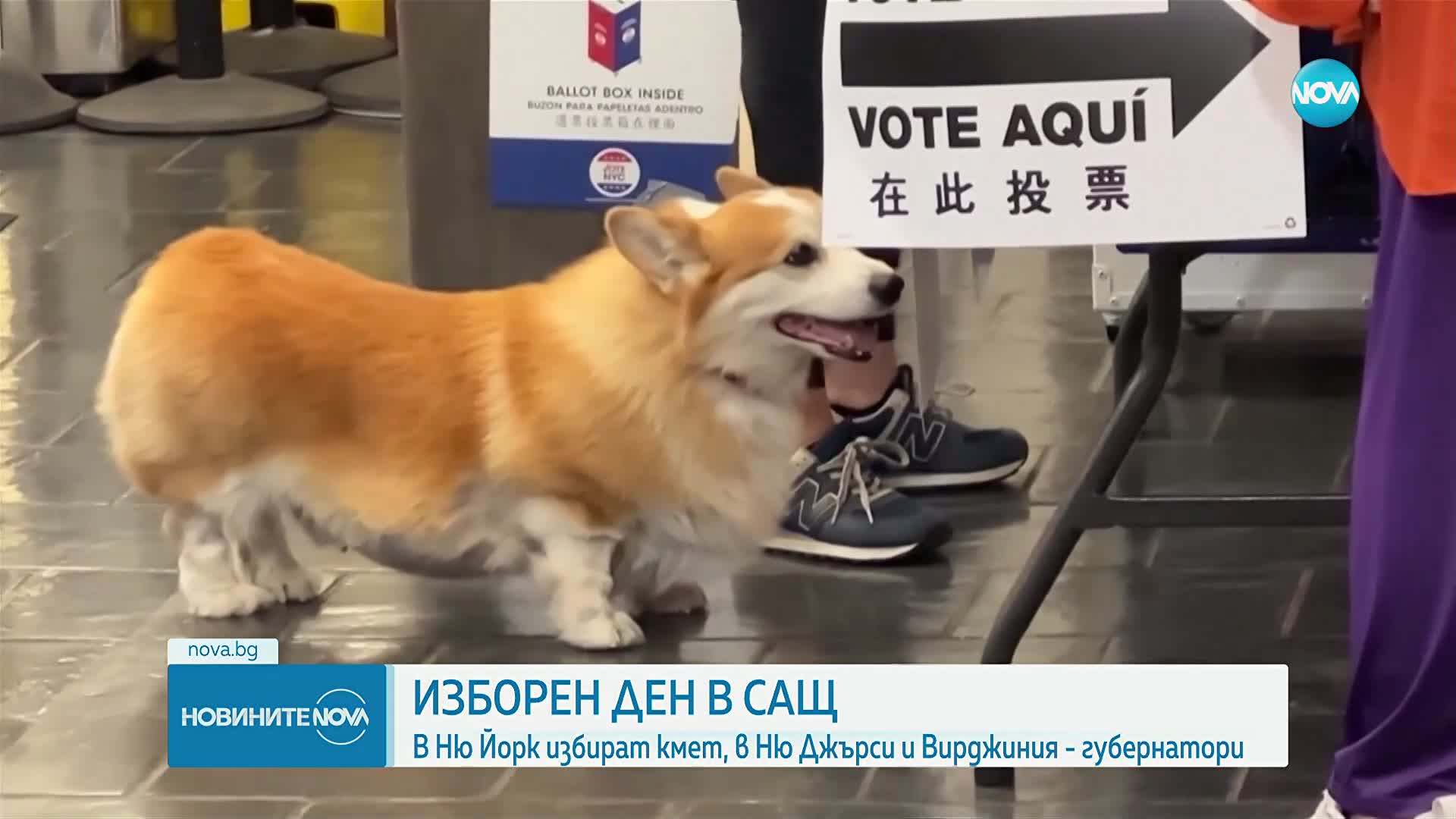 Ню Йорк избира кмет