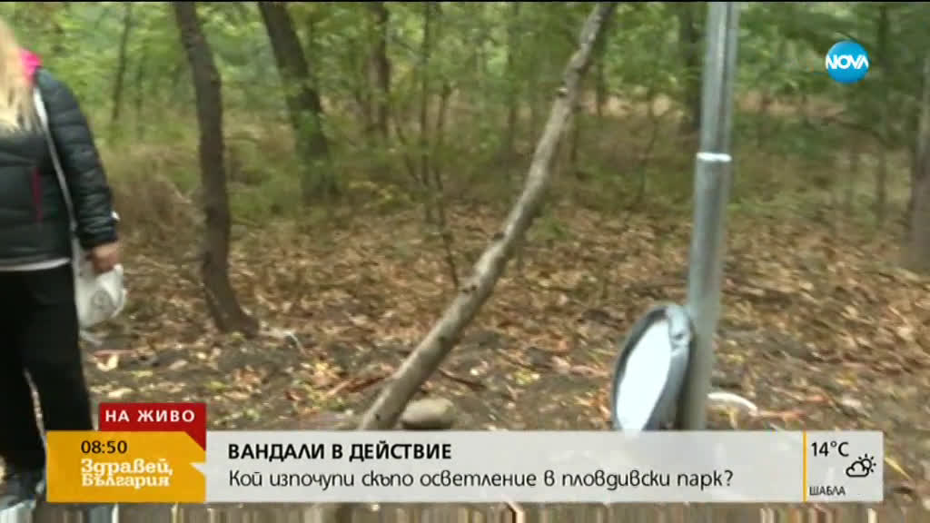 ВАНДАЛИ В ДЕЙСТВИЕ: Кой изпочупи скъпо осветление в пловдивски парк?