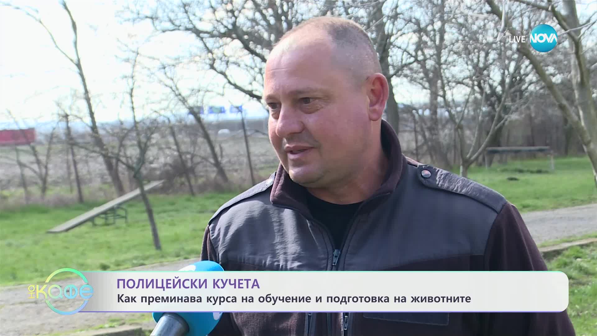 Полицейски кучета: Как преминава курса на обучение и подготовка на животните? - „На кафе“