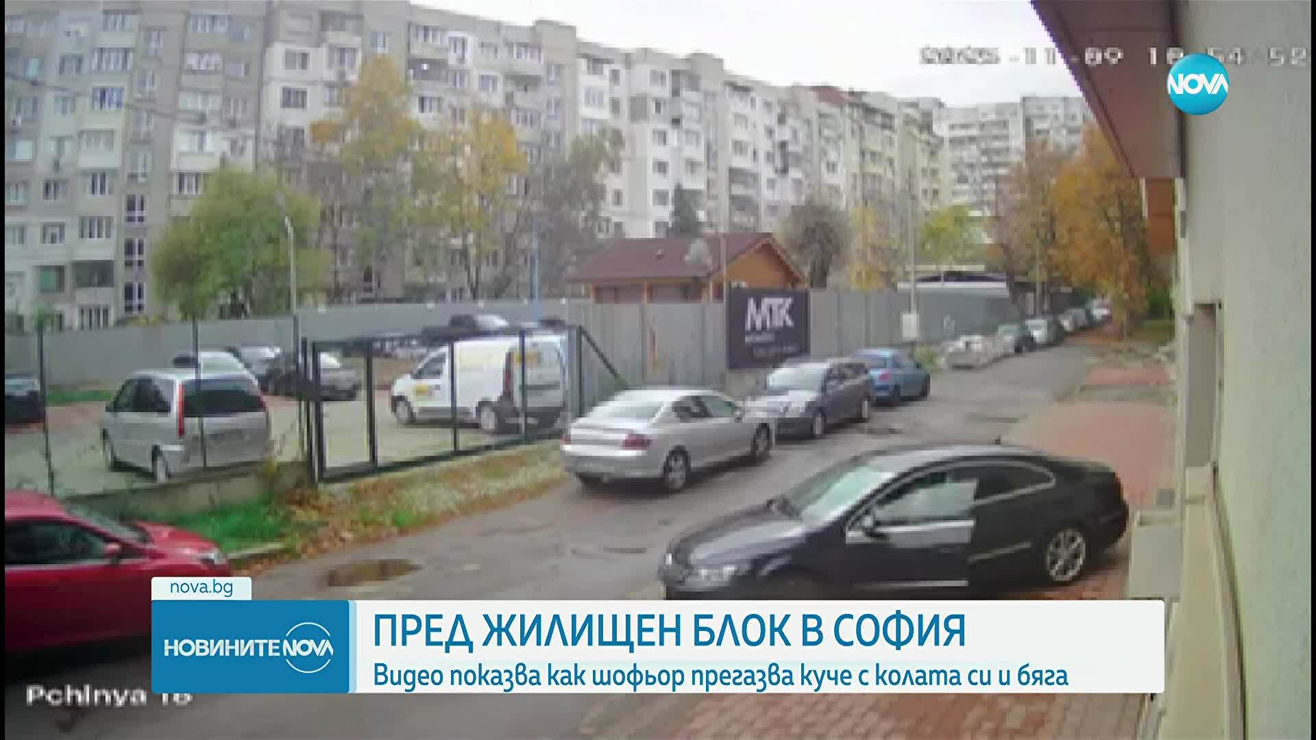 Кола прегази куче в столичния квартал "Разсадника"