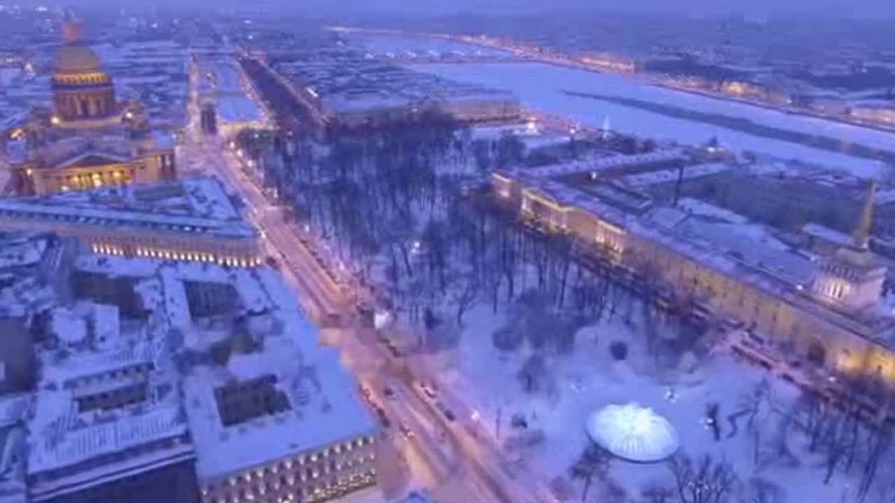 фото бабочек коллекция онлайн фото бабочек коллекция