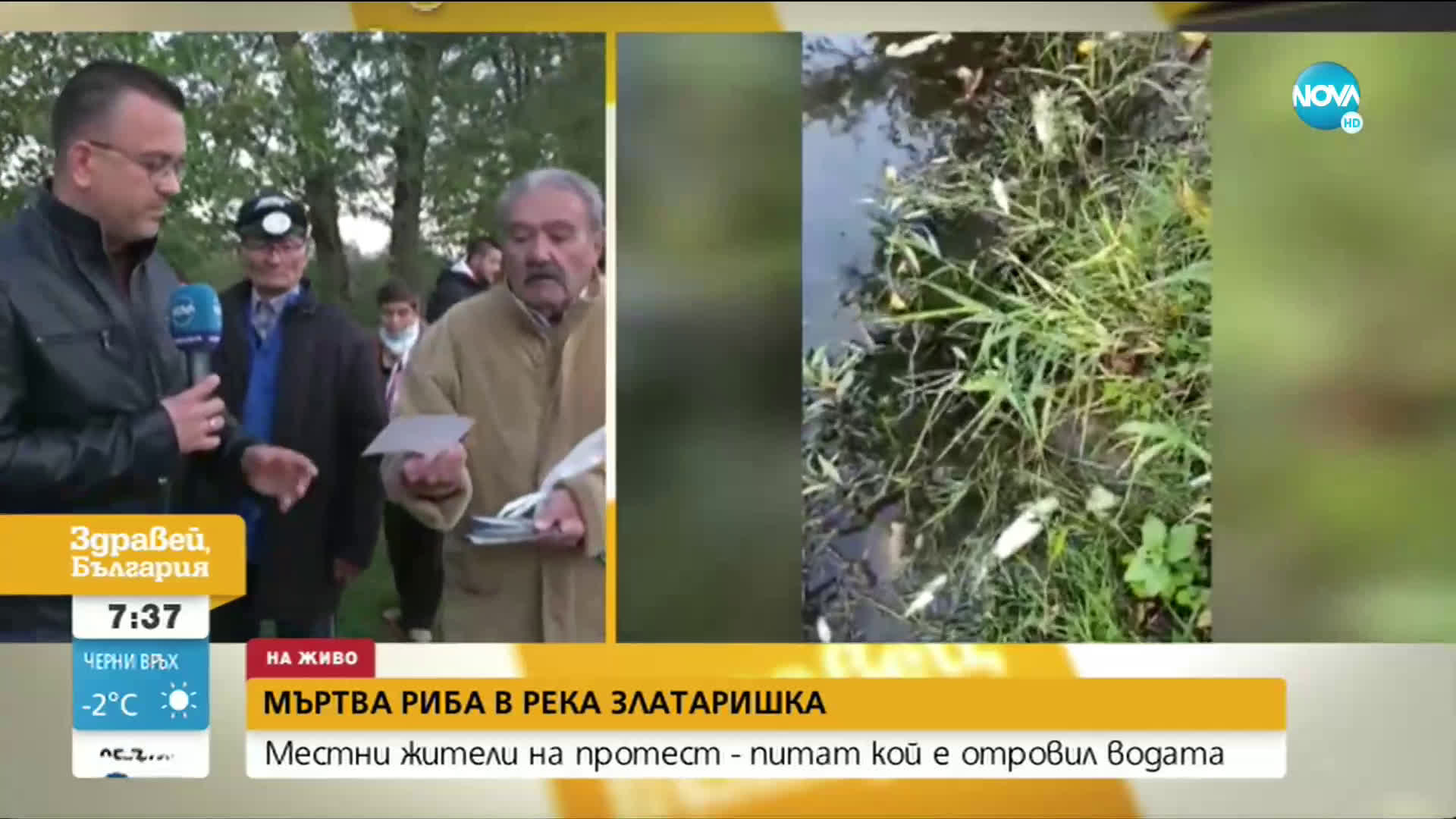 Жители на Златарица на протест заради мъртва риба