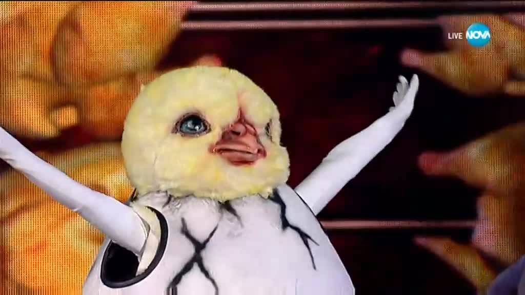 Пилето изпълнява Gangnam Style на PSY | Маскираният певец