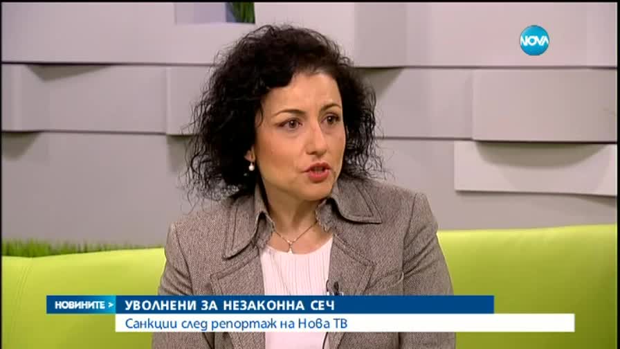 Уволнения заради незаконна сеч след репортаж на Нова