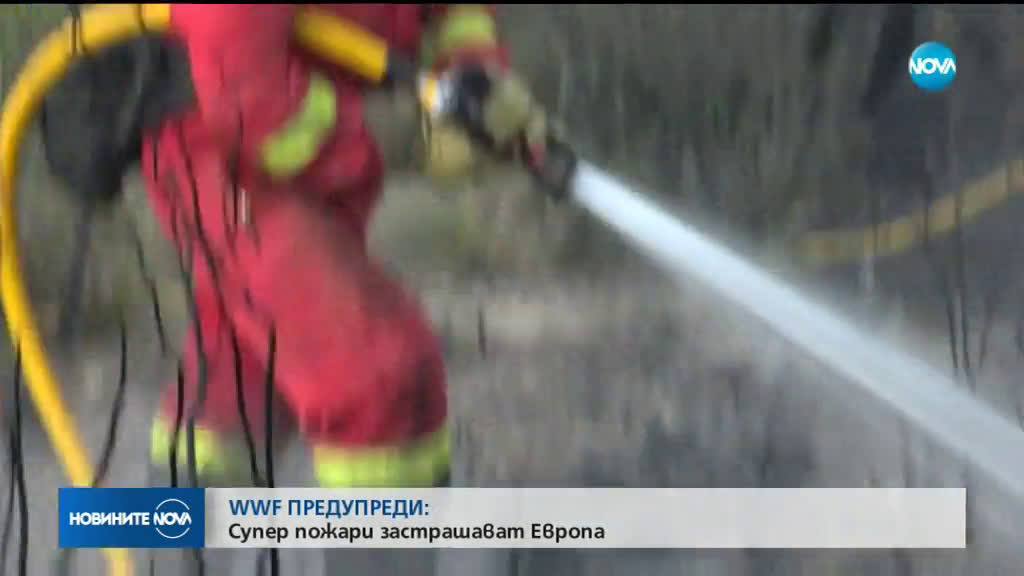 WWF предупреди: Супер пожари застрашават Европа