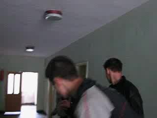 Дунавско Хоро