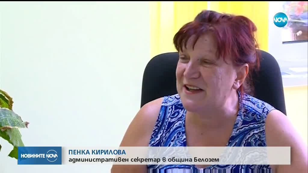 След унищожаването на прасетата: Проблеми за стопаните в Пловдивско
