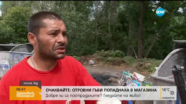 В печата: Пращат всички грации на психиатър
