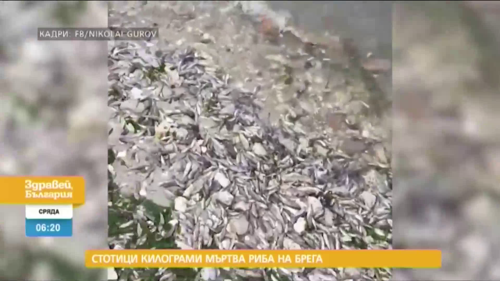 В „Здравей, България” на 20 май очаквайте