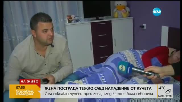 Жена със счупени прешлени след нападение от бездомни кучета