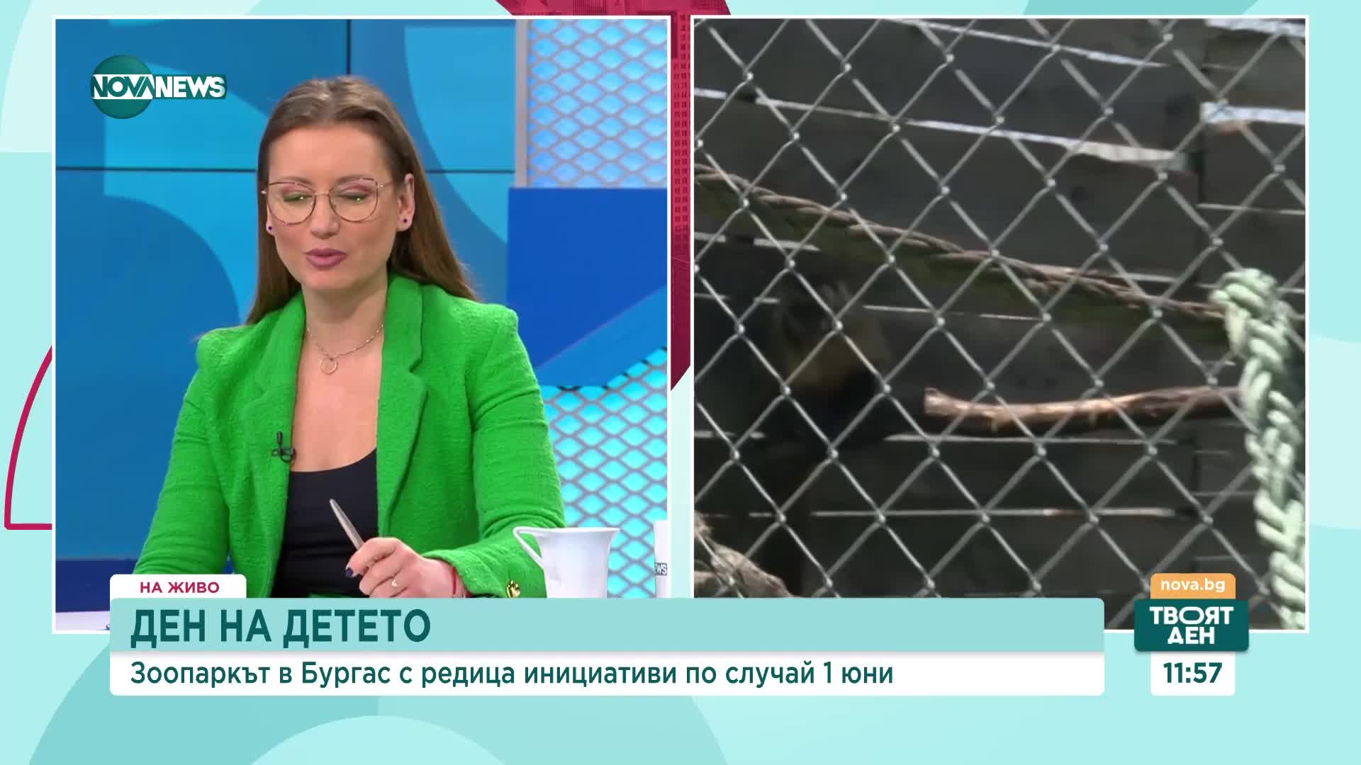 Зоопаркът в Бургас с редица инициативи за 1 юни