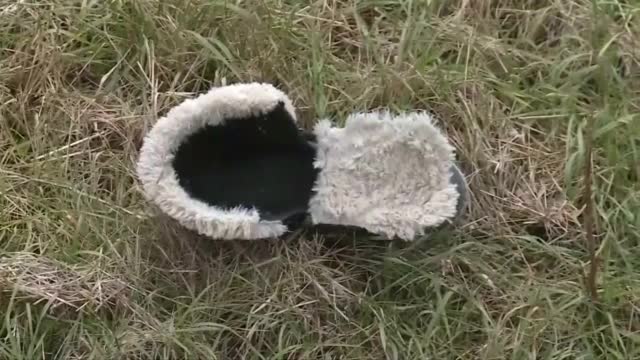 Трима мигранти загинаха при катастрофа в Сърбия