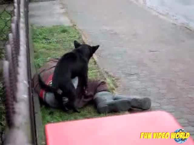 Никога не се напивайте така :) 