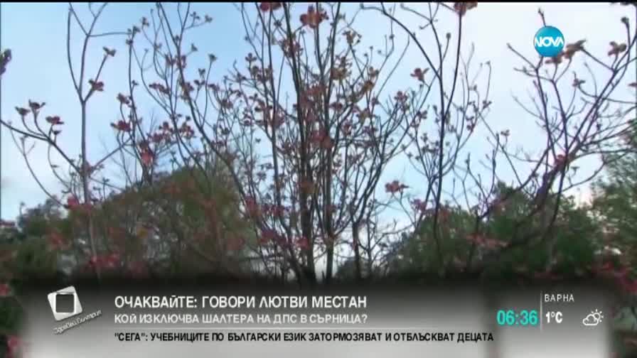 Настъпва астрономическата пролет