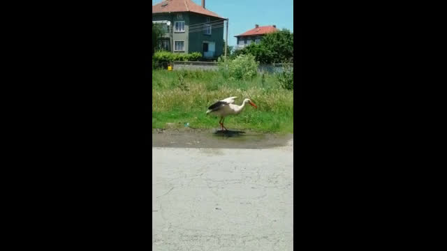 Горещини