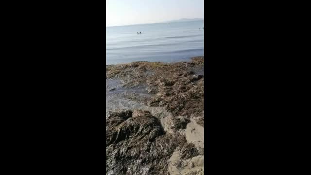 Мръсен плаж