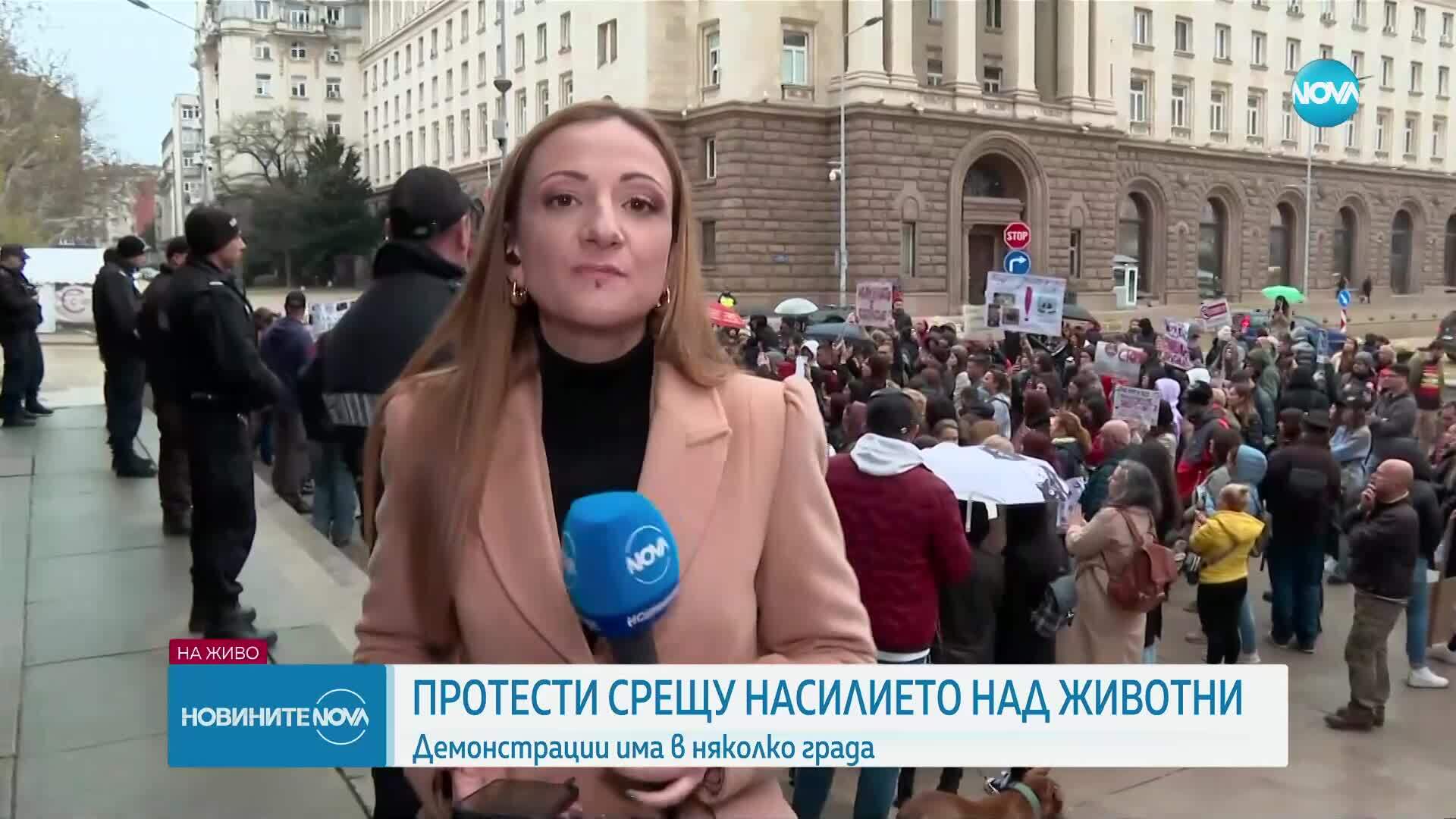 Протести срещу насилието над животните в няколко града у нас
