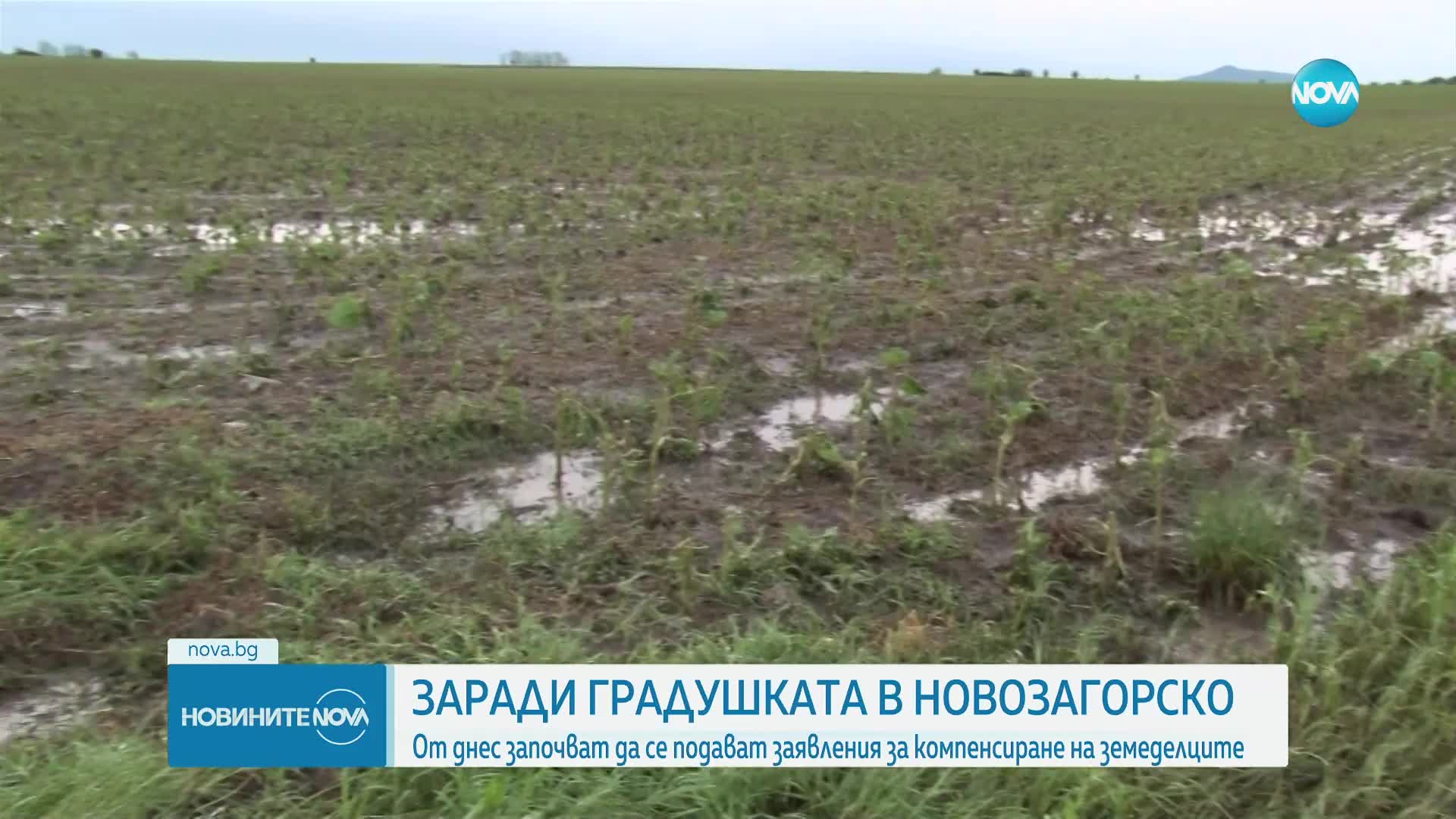 Започва приемът на заявления за обезщетения след градушката в Новозагорско