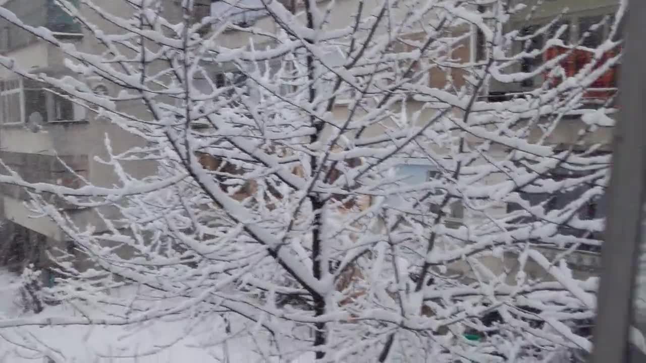 Снеговалеж 3-та част