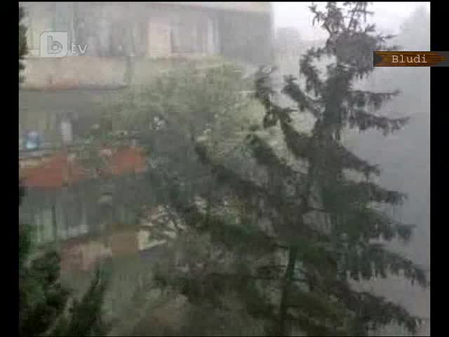 Дърво уби шофьор след като падна върху колата му при буря във Варна 