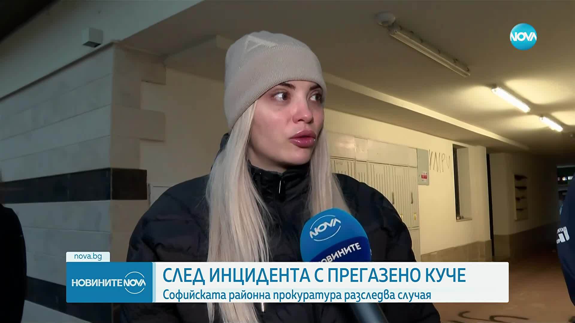 Кой е шофьорът, прегазил кучето Мая, и за какво наказание настояват хората в "Разсадника"