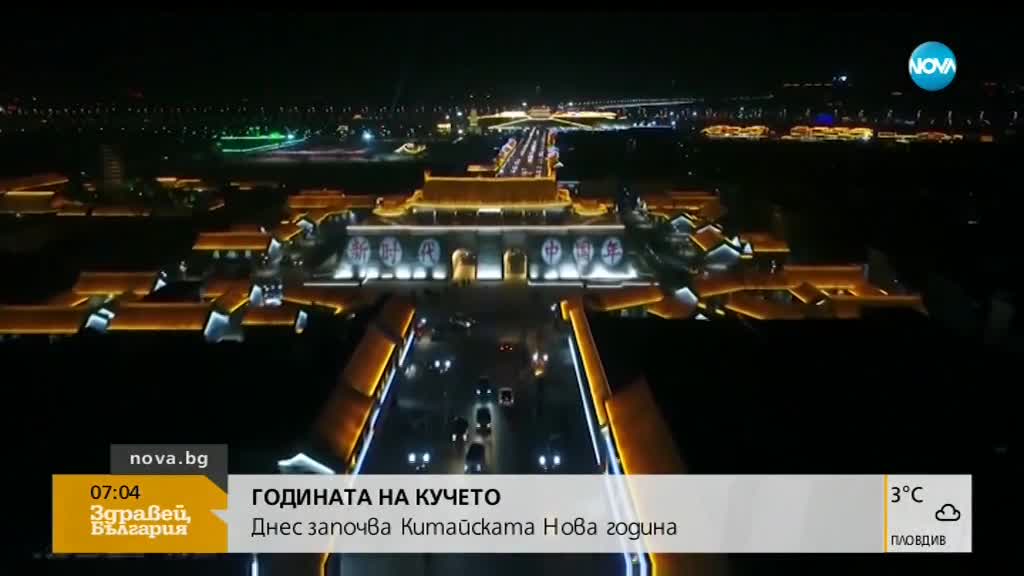 Светът посрещна Годината на кучето