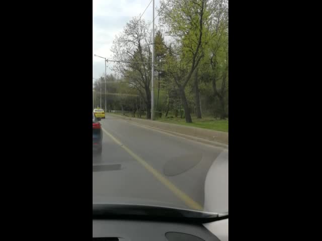 "Моята новина": Не спира карането в буслентата на "Цариградско"