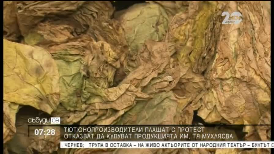 Тютюнопроизводители пред фалит, плашат с протест