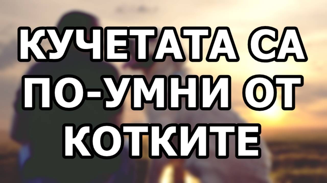 Кучетата са по-умни от котките