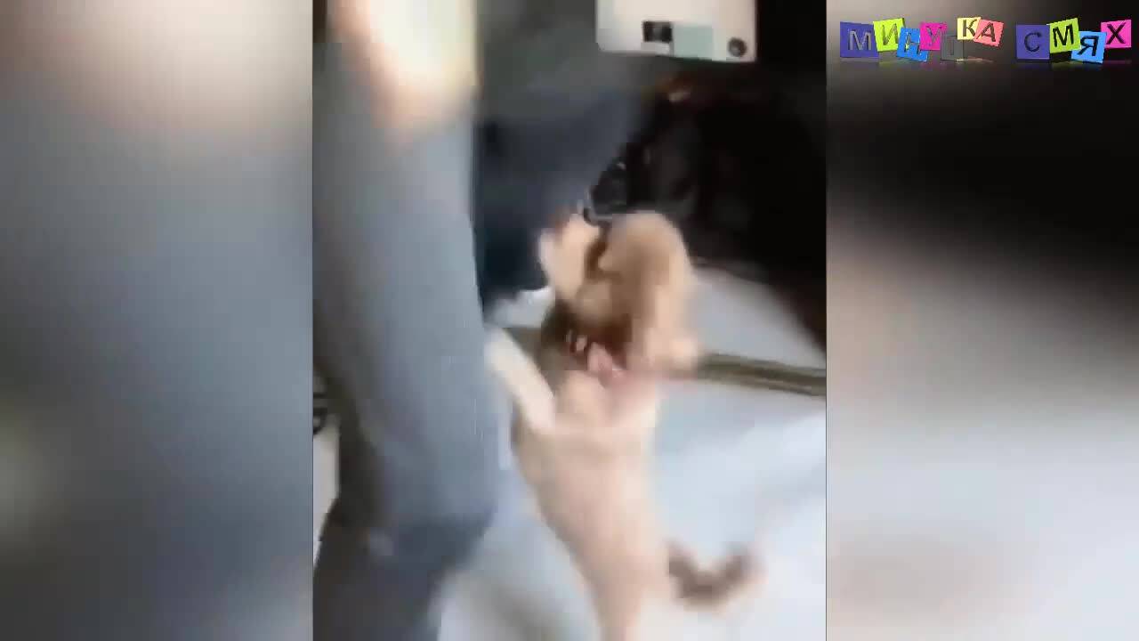 По света има много луди и смешни хора! - Минутка смях