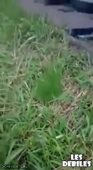 220 кг канабис разпилян след зверска катастрофа