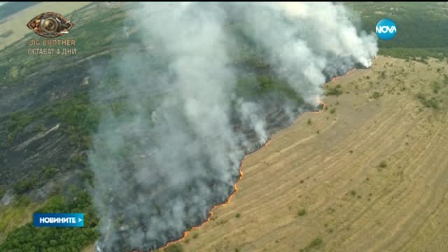 Пожарът край Монтана отново пламна