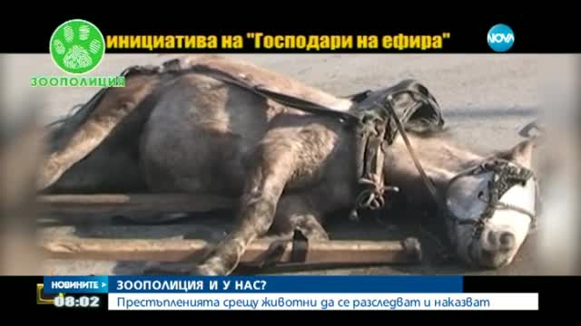 Обсъждат създаването на зоополиция