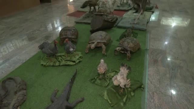 ИСТОРИЧЕСКИ КЪТ: Природонаучният музей в Нигерия е единственият, съхранил африканската история (ВИ