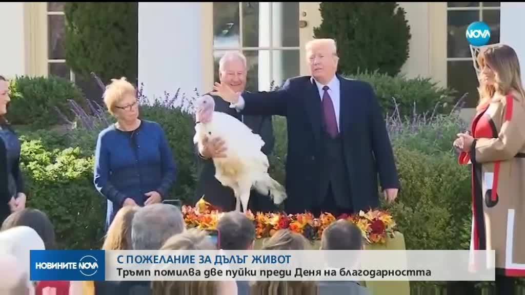 Доналд Тръмп помилва две пуйки според традицията за Деня на благодарността
