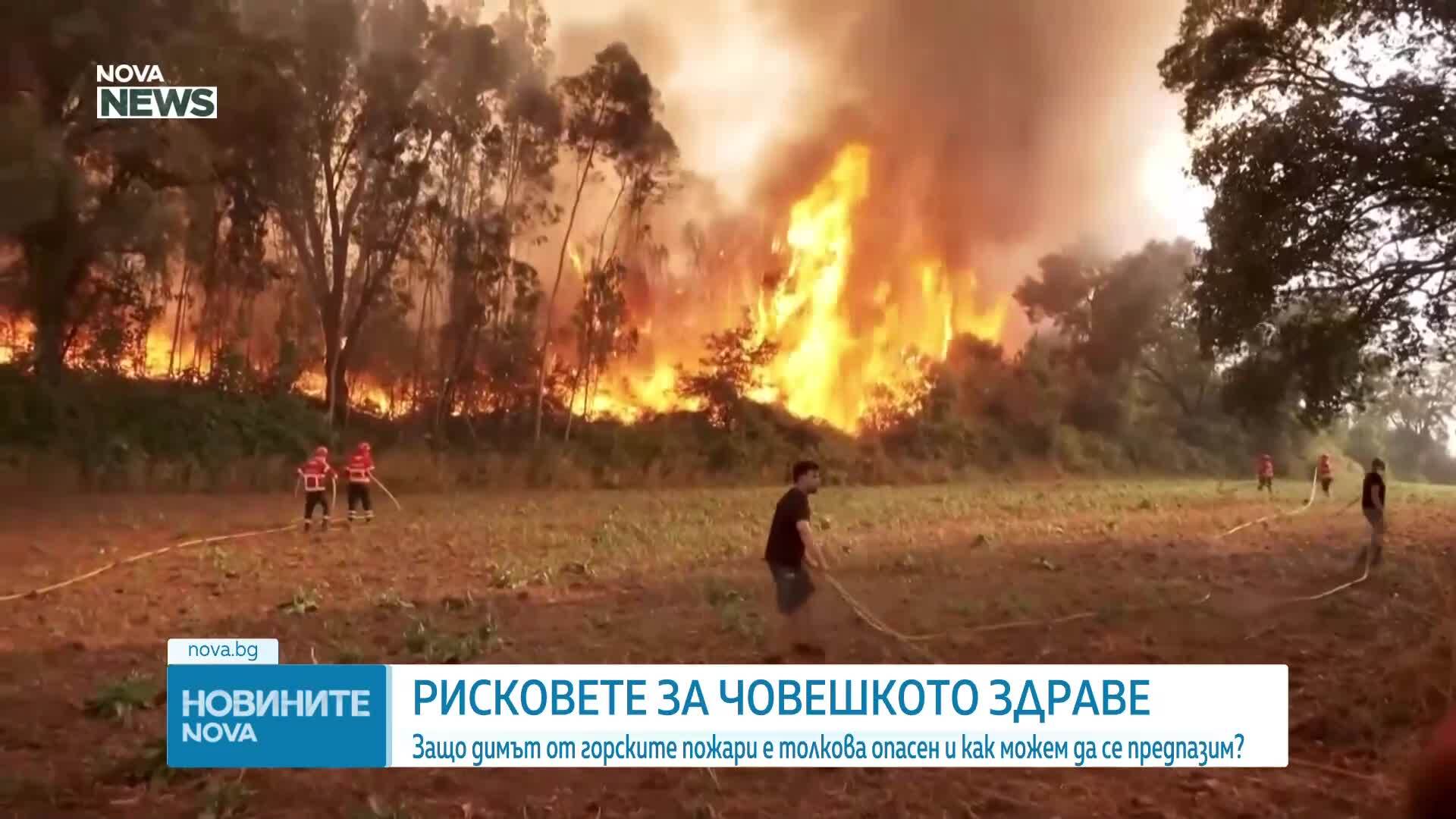 Защо димът от горските пожари е толкова опасен и как можем да се предпазим