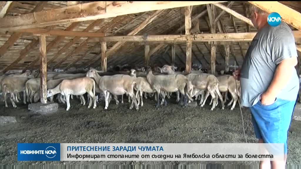 Извънредни срещи с животновъдите в Хасковско