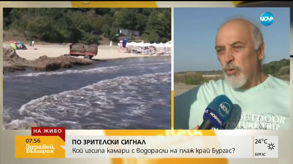 Кой изсипа камари с водорасли на плаж край Бургас?