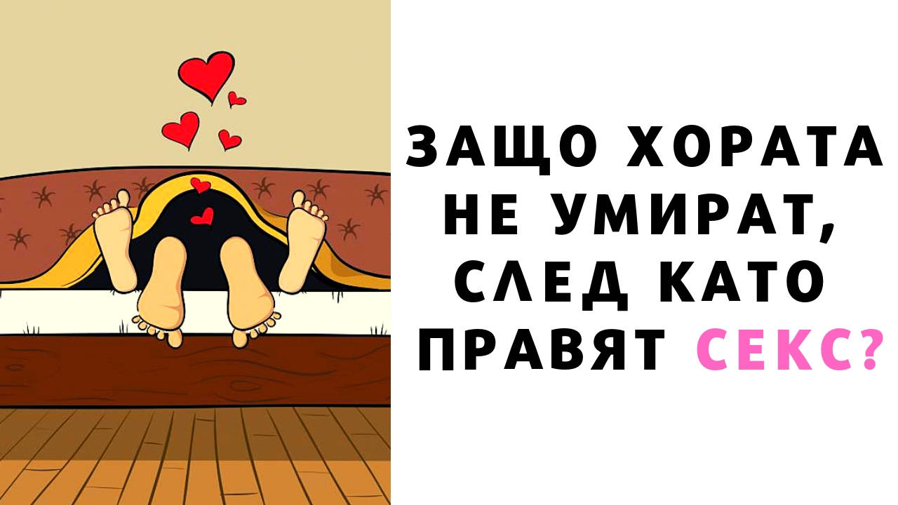 Защо хората не умират, след като правят секс?