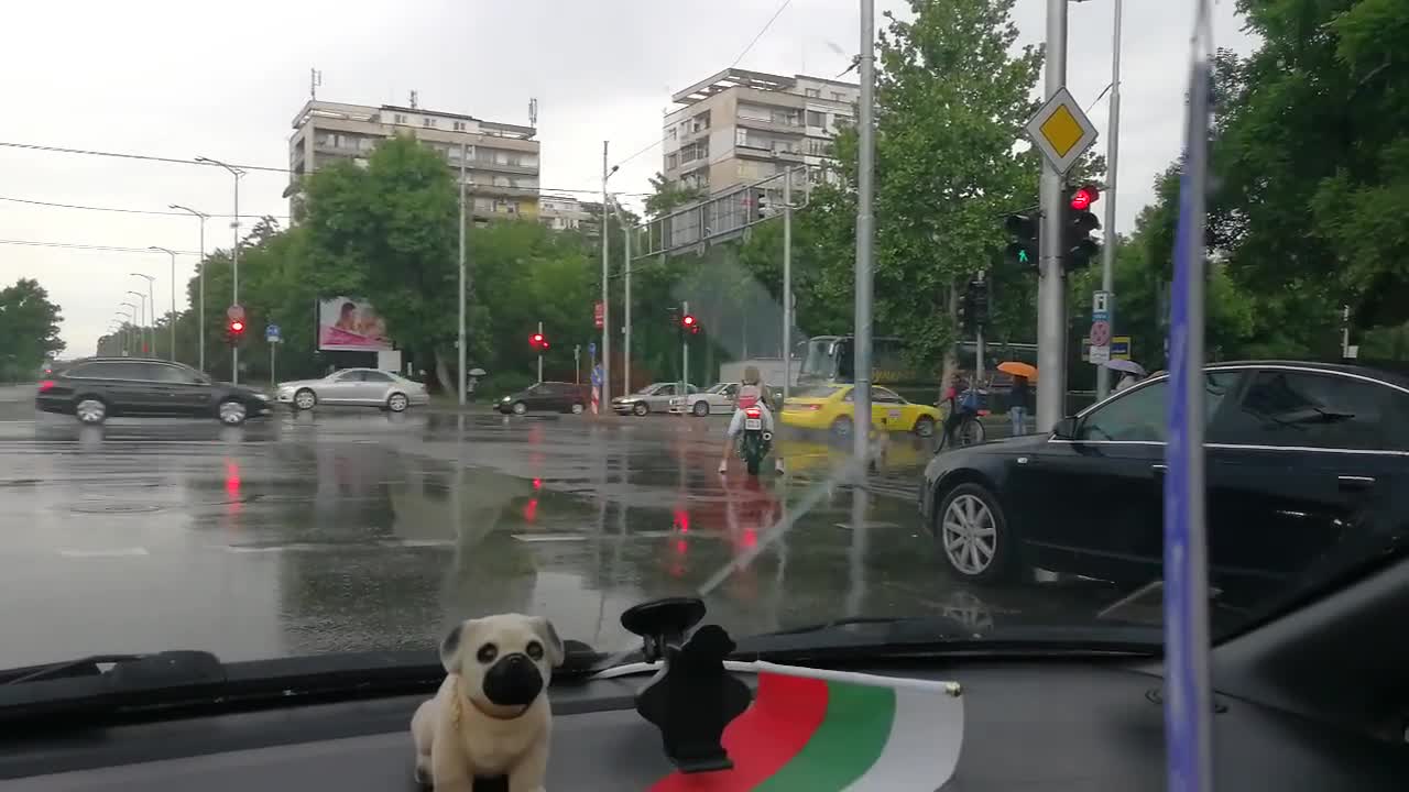 Поредният нарушител на пътя