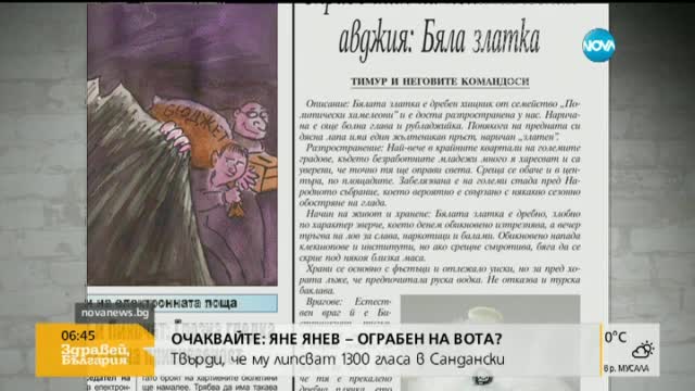 Преглед на печата