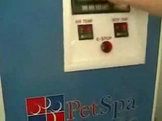 Cat Wash
