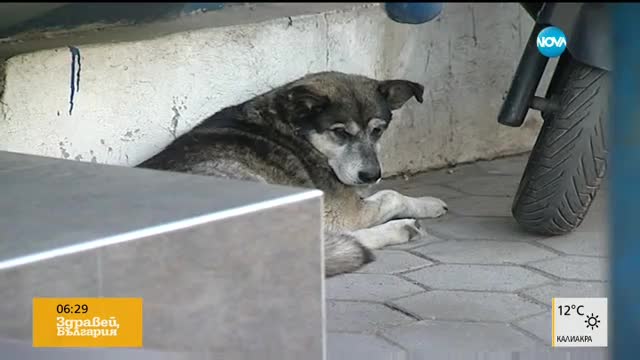 СМЯНА НА ВЛАСТТА: АПИ с ново ръководство